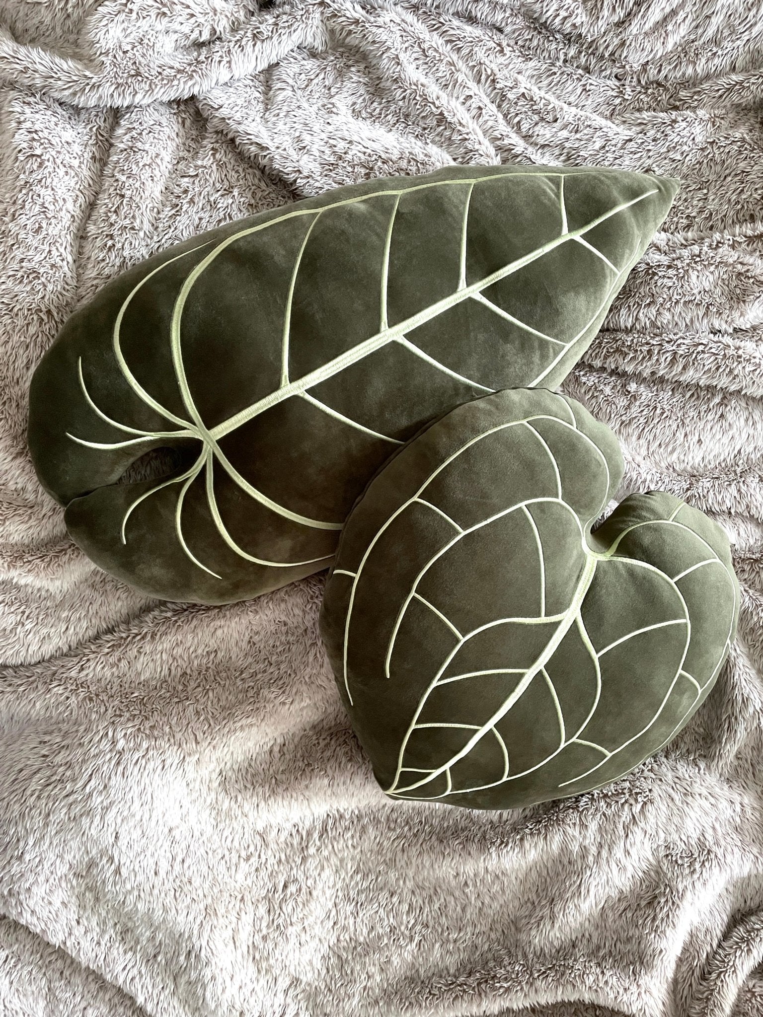 Anthurium Warocqueanum Plush Pillow - Khaki Green - Green Philosophy Co.