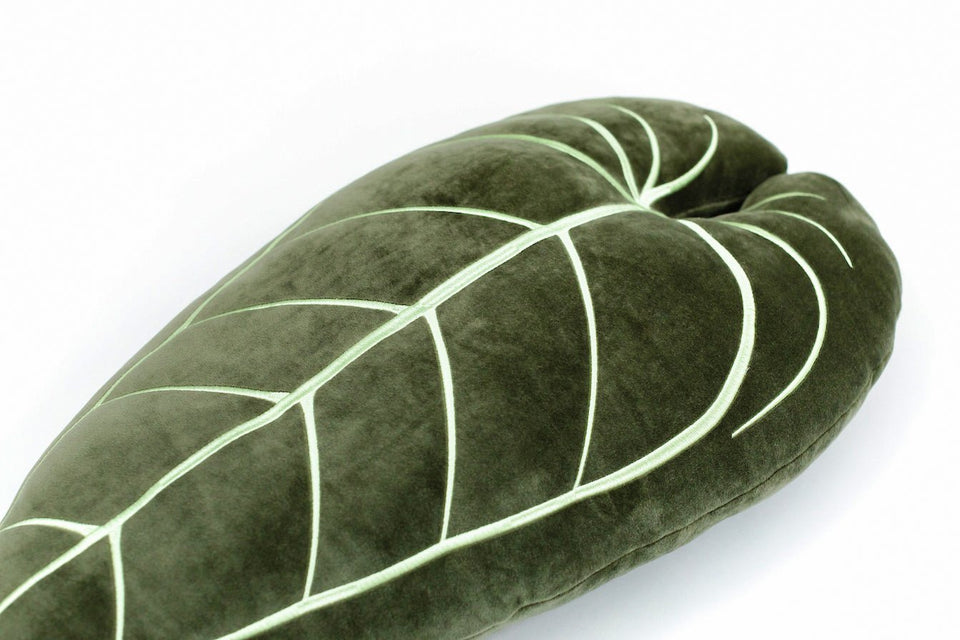 Anthurium Warocqueanum Plush Pillow - Khaki Green - Green Philosophy Co.
