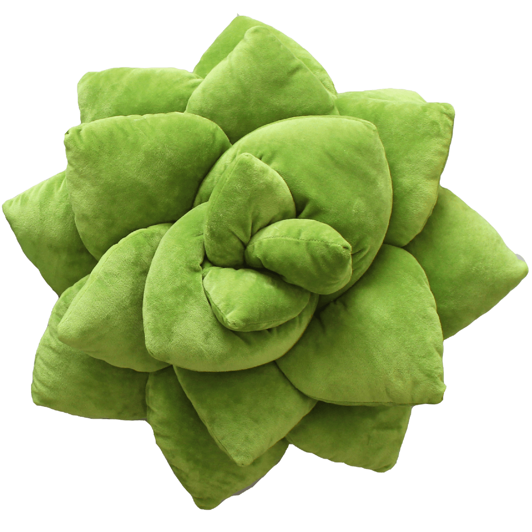 Big Pop Succulent® - Olive Green - Green Philosophy Co.