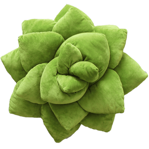 Big Pop Succulent® - Olive Green - Green Philosophy Co.