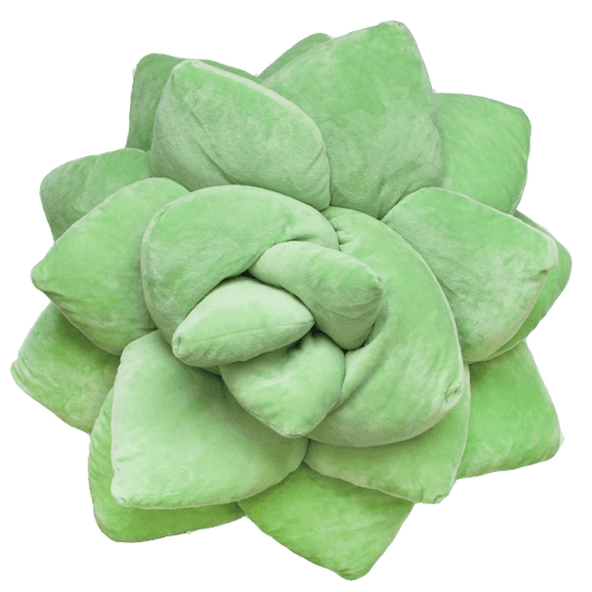 Big Pop Succulent® - Sage Green - Green Philosophy Co.