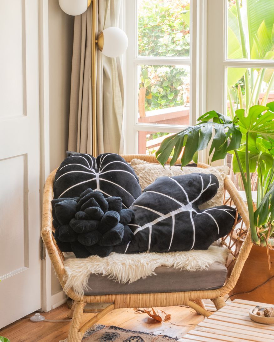 Black Garden Bundle - Green Philosophy Co.