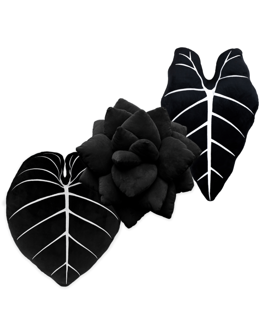 Black Garden Bundle - Green Philosophy Co.