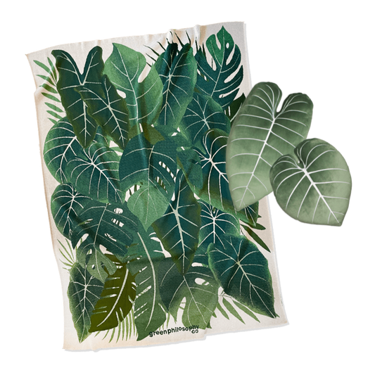 Botanical Blanket & Philodendron Pillows Set - Green Philosophy Co.
