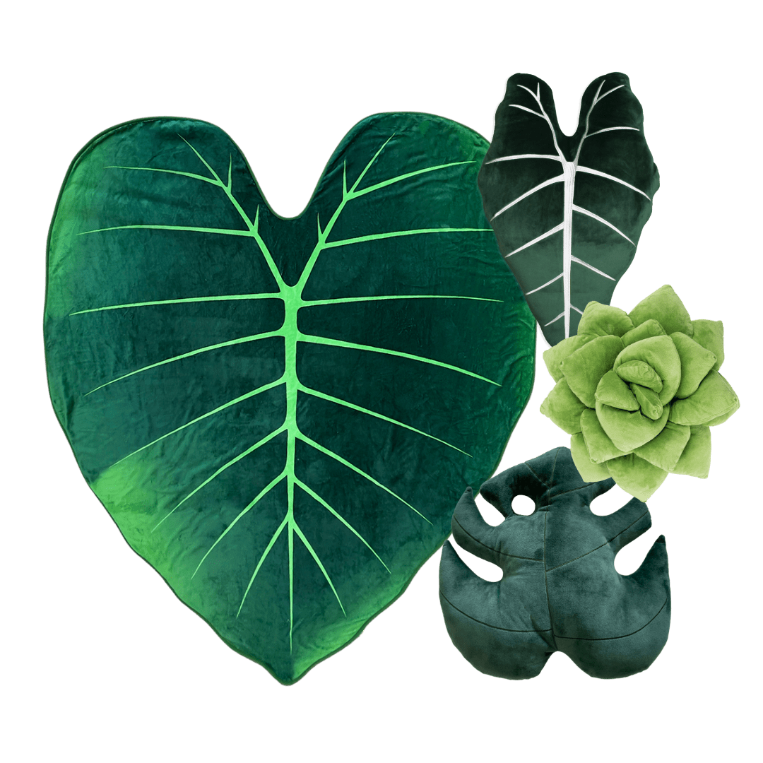 Dark Forest Bundle - Regal Shield Giant Leaf Blanket, Succulent, Monstera, Alocasia Plant Pillow