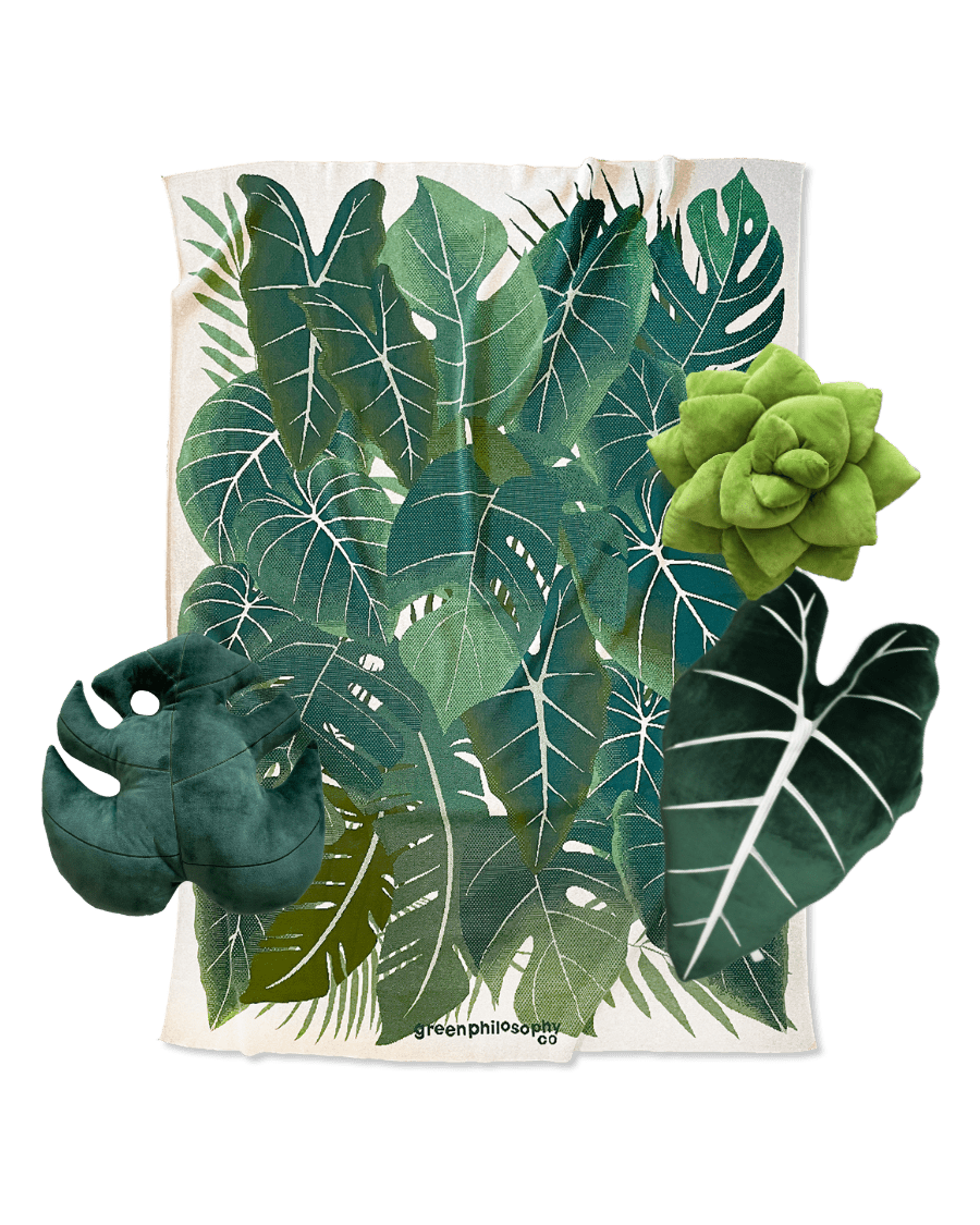 Forest Bundle - Green Philosophy Co.