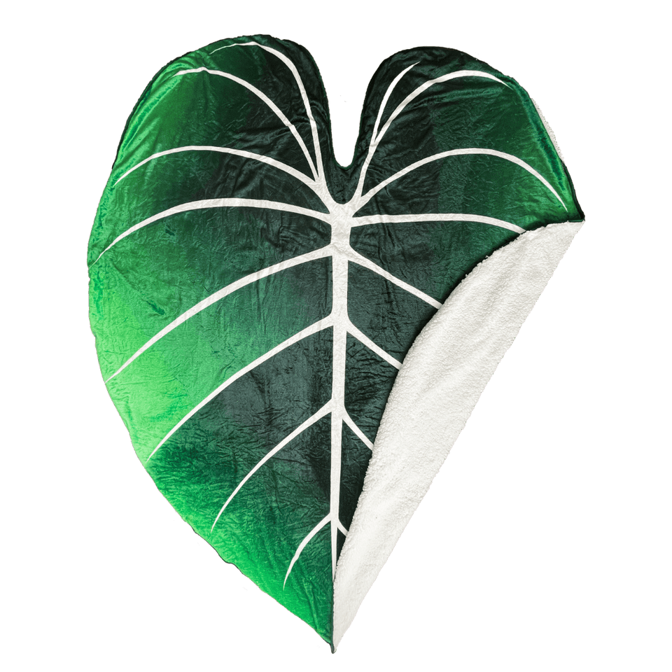 Gloriosum Giant Leaf Blanket - Green Philosophy Co.