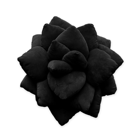 Lil' Pop Succulent® - Plush Pillow - Black Knight - Green Philosophy Co.