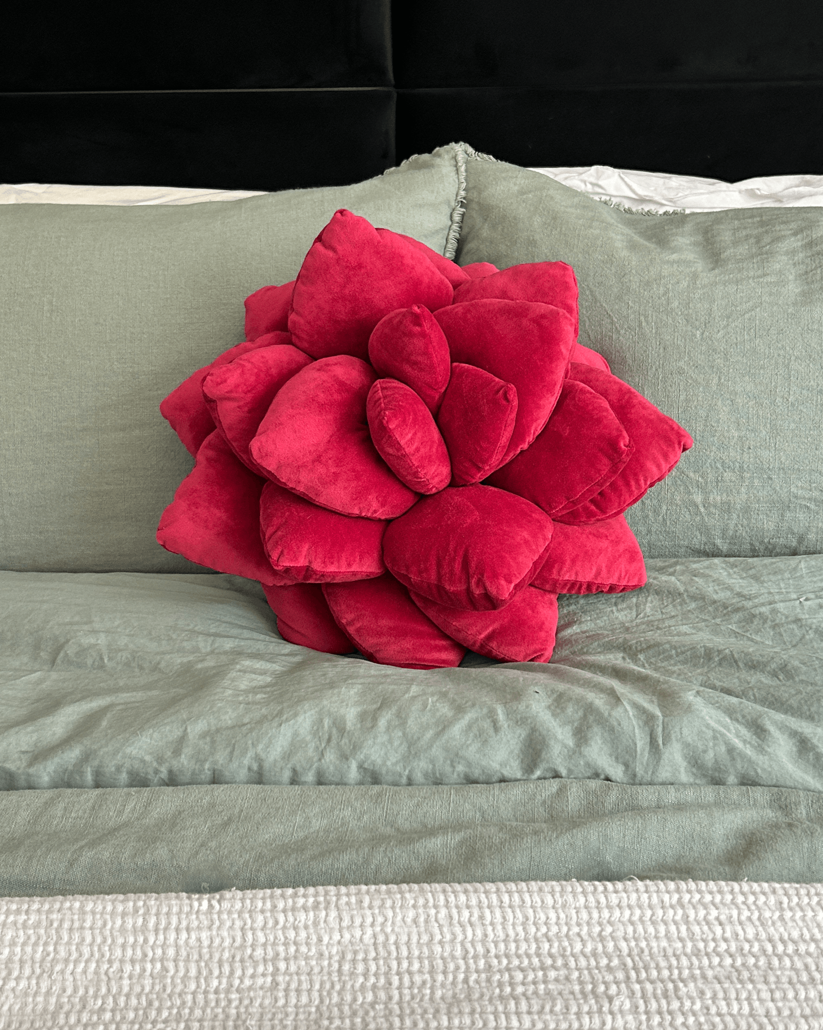 Lil' Pop Succulent® - Plush Pillow - Crimson Red - Green Philosophy Co.