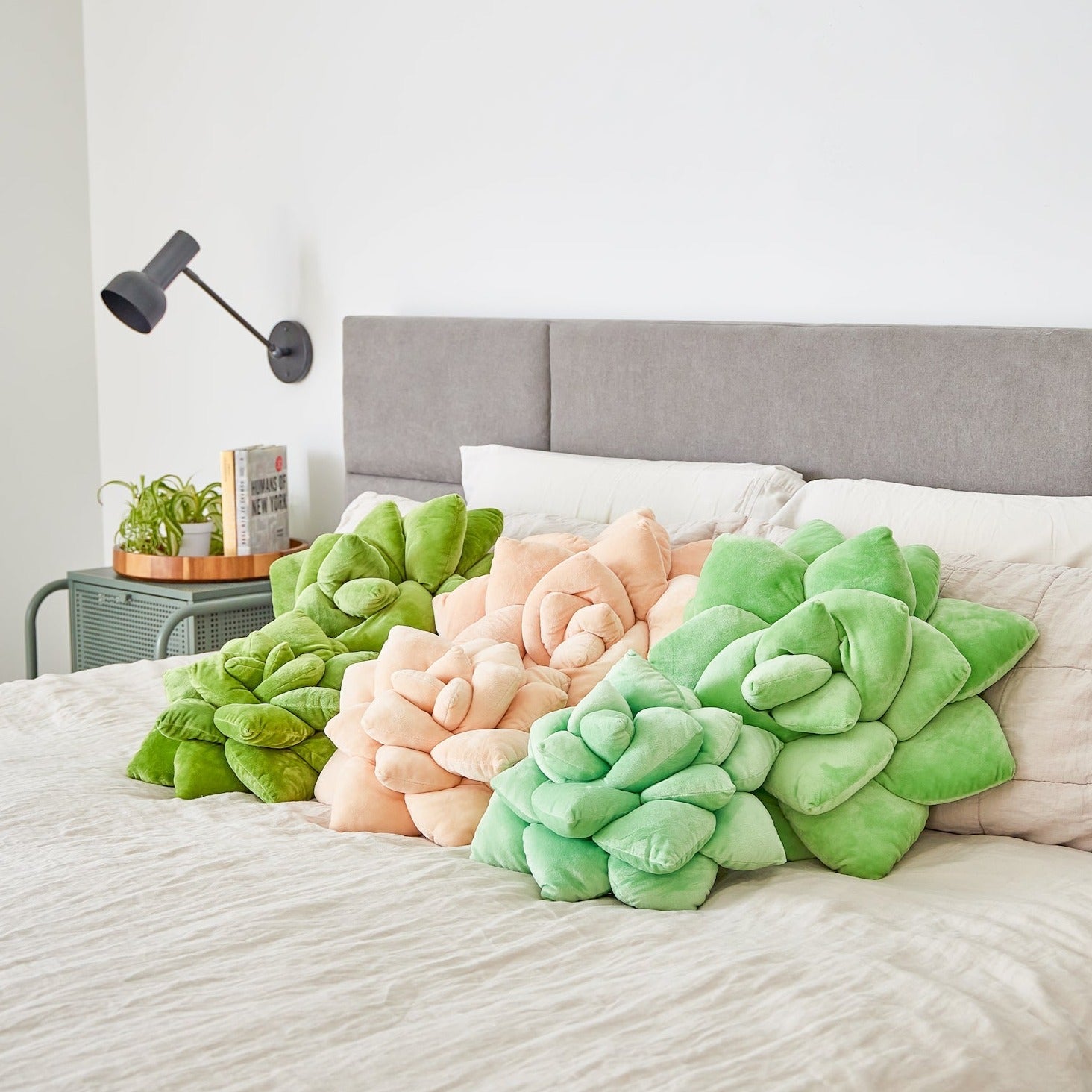Lil' Pop Succulent - Plush Pillow - Sage Green - Green Philosophy Co.