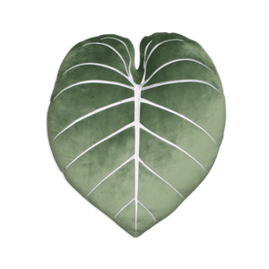Philodendron Gloriosum - Moody Green - Green Philosophy Co.