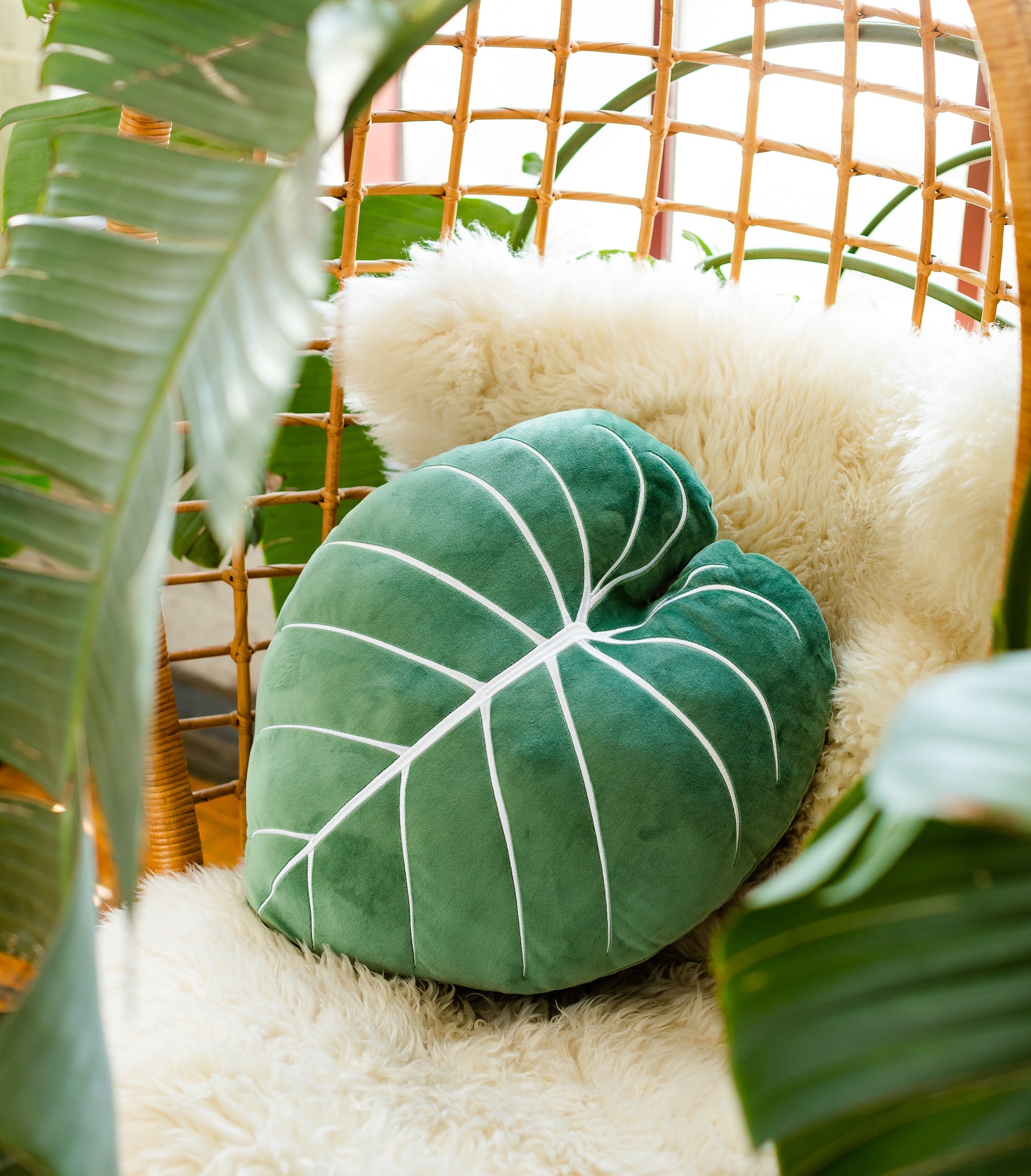 Philodendron Gloriosum Plush Pillow - Moody Green - Green Philosophy Co.
