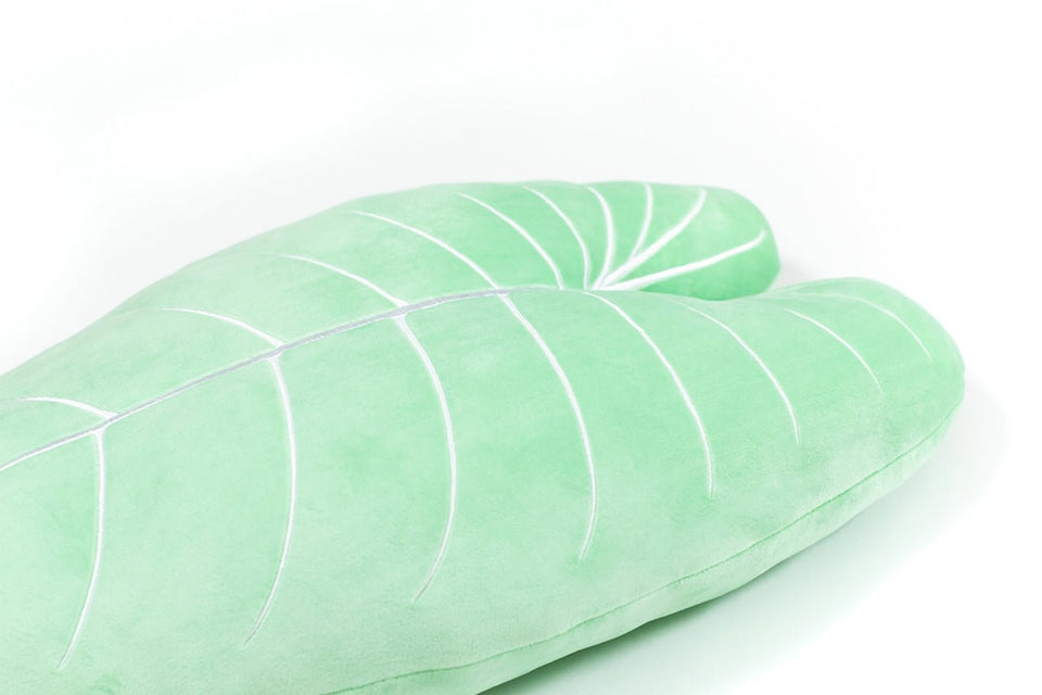 Philodendron Melanochrysum Plush Pillow - Serene Green - Green Philosophy Co.
