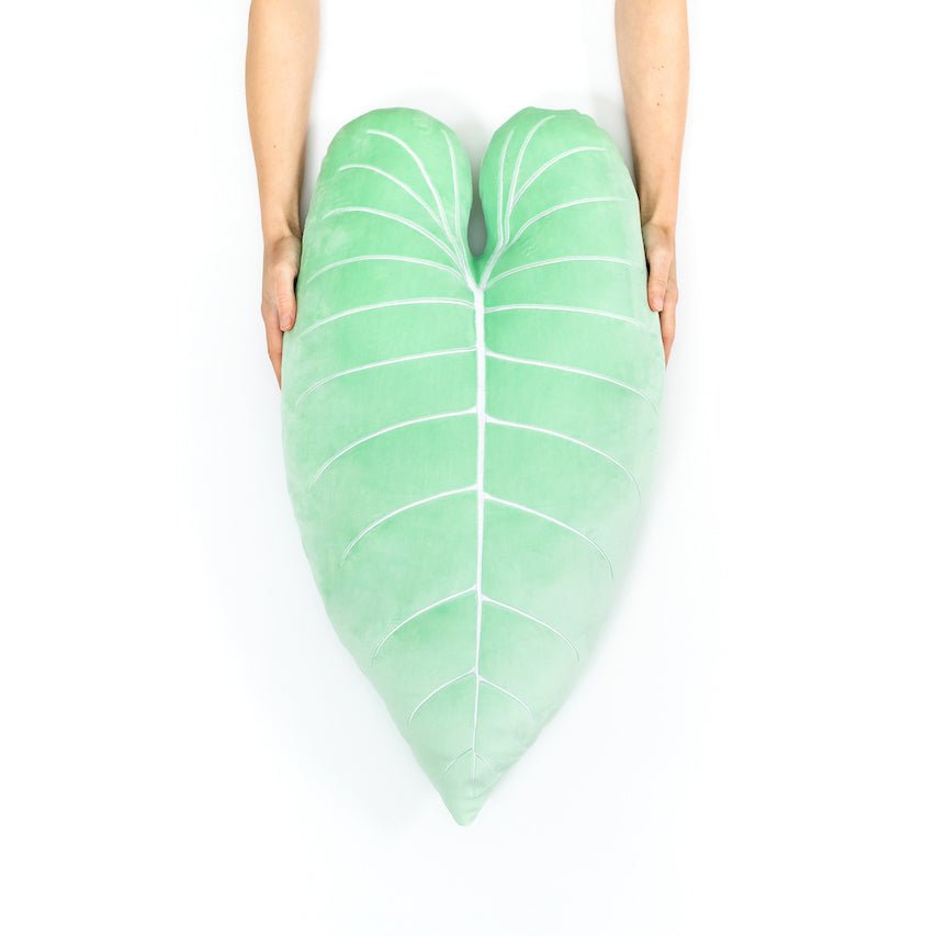 Philodendron Melanochrysum Plush Pillow - Serene Green - Green Philosophy Co.