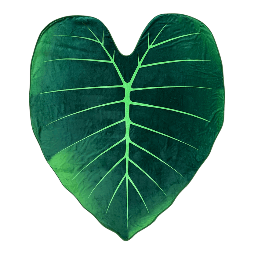 Philodendron Gloriosum Giant Leaf Blanket