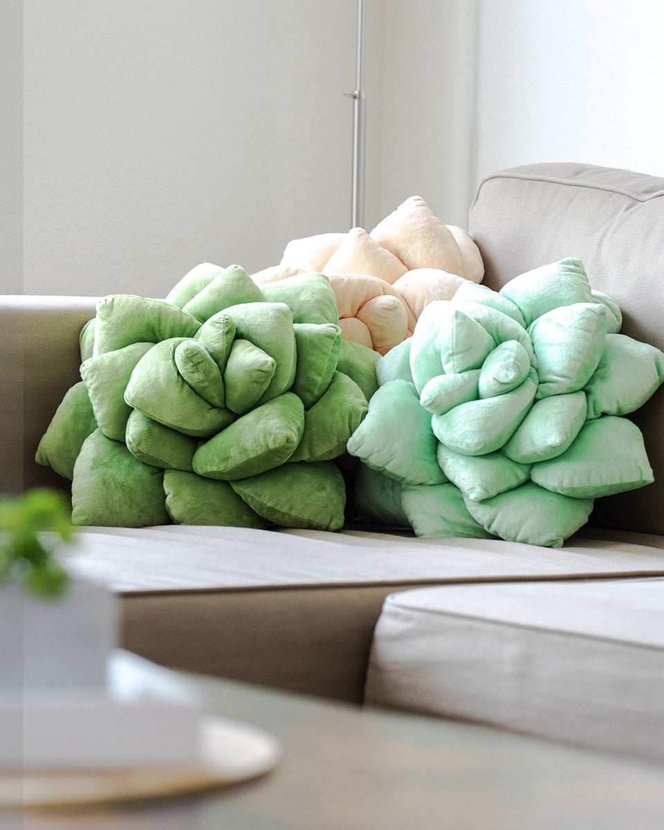 Succulent - Lil' Pop - Plush Pillows Bundle - Green Philosophy Co.