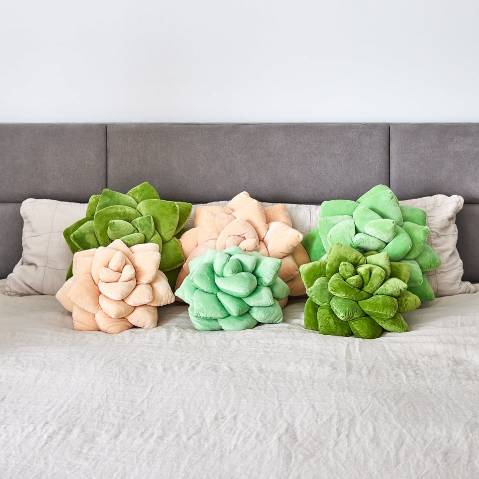 Succulent - Lil' Pop - Plush Pillows Bundle - Green Philosophy Co.